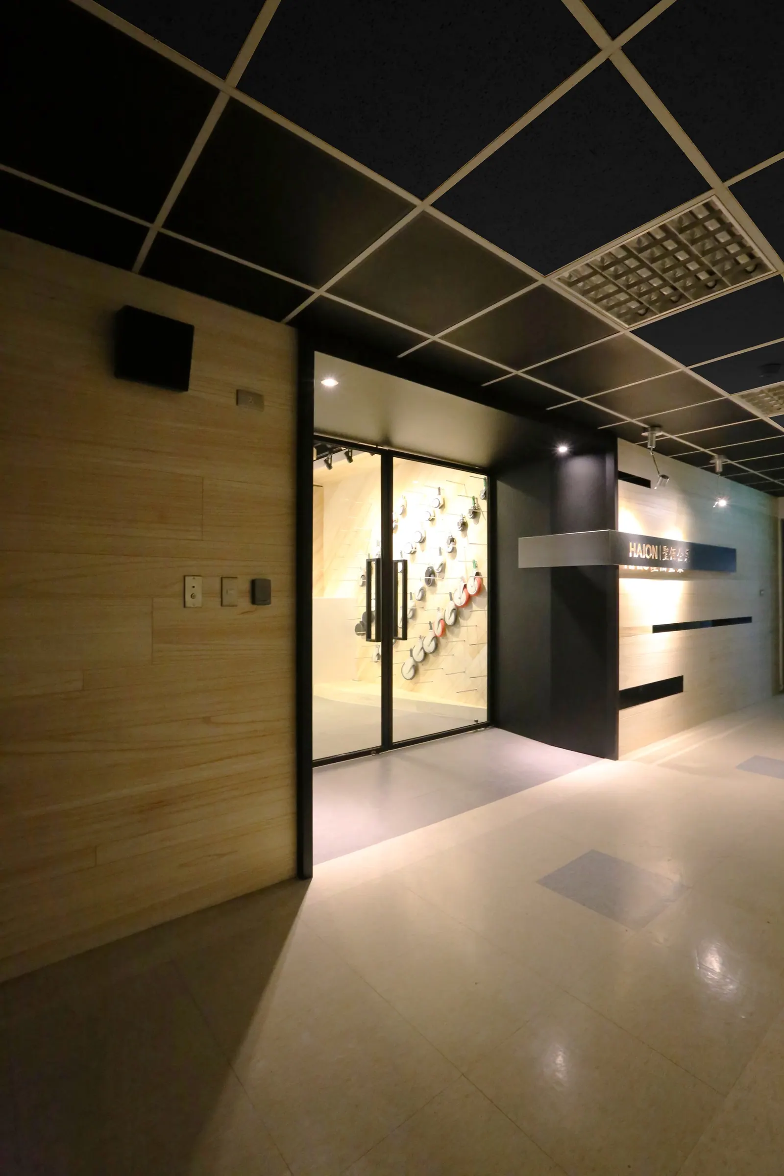 Haion Caster — workspace
