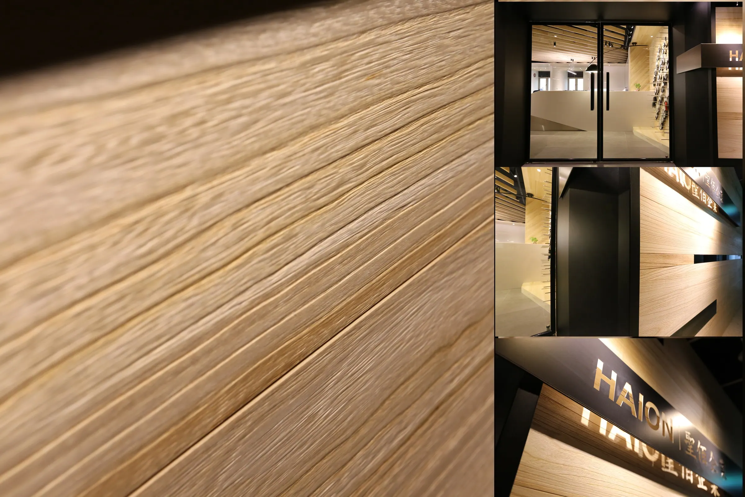 Haion Caster — workspace